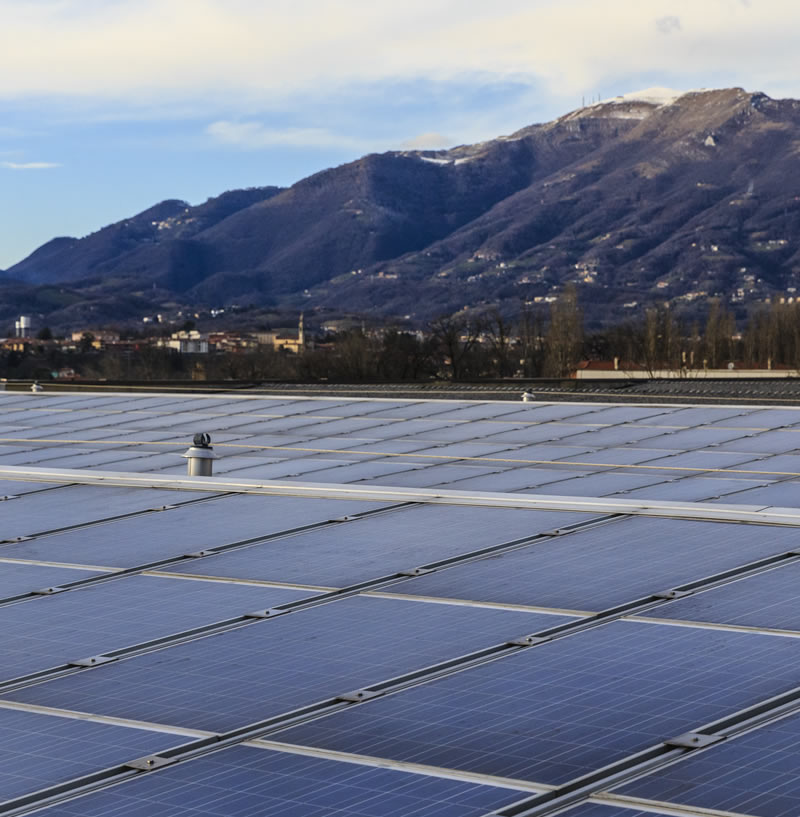 Salumi freschi di qualità